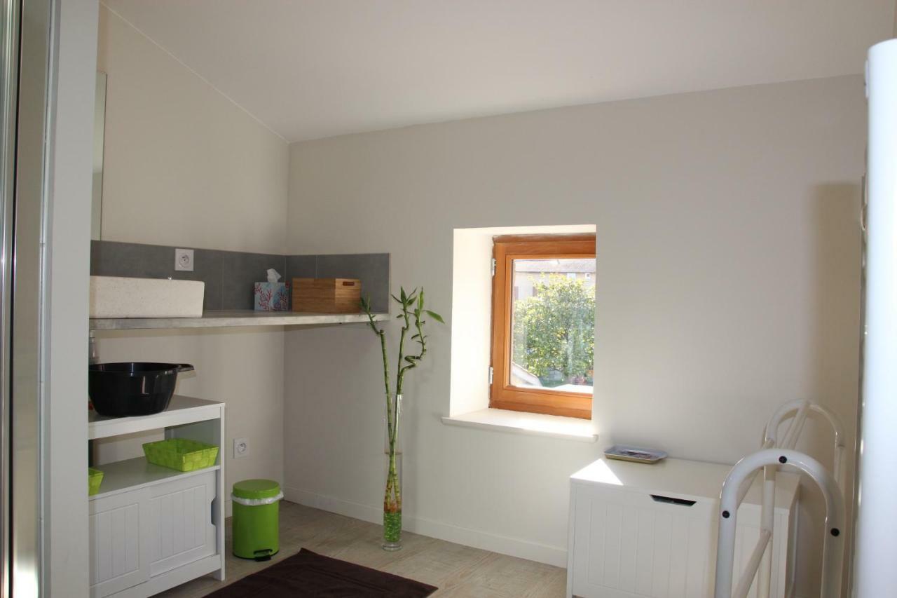 Grand Duplex Au Calme En Centre-Ville Villefranche-sur-Saône 외부 사진