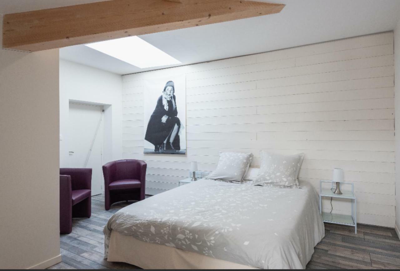 Grand Duplex Au Calme En Centre-Ville Villefranche-sur-Saône 외부 사진